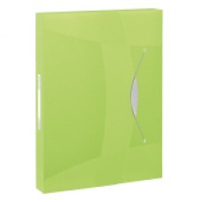 ESSELTE Box File Vivida PP 40mm Green , 624051, 10-Pack